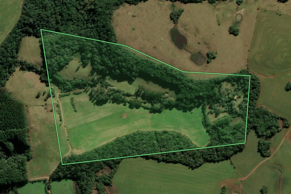 Imagem de satélite do imóvel rural em Protásio Alves (RS), com o contorno declarado no CAR desenhado por cima.