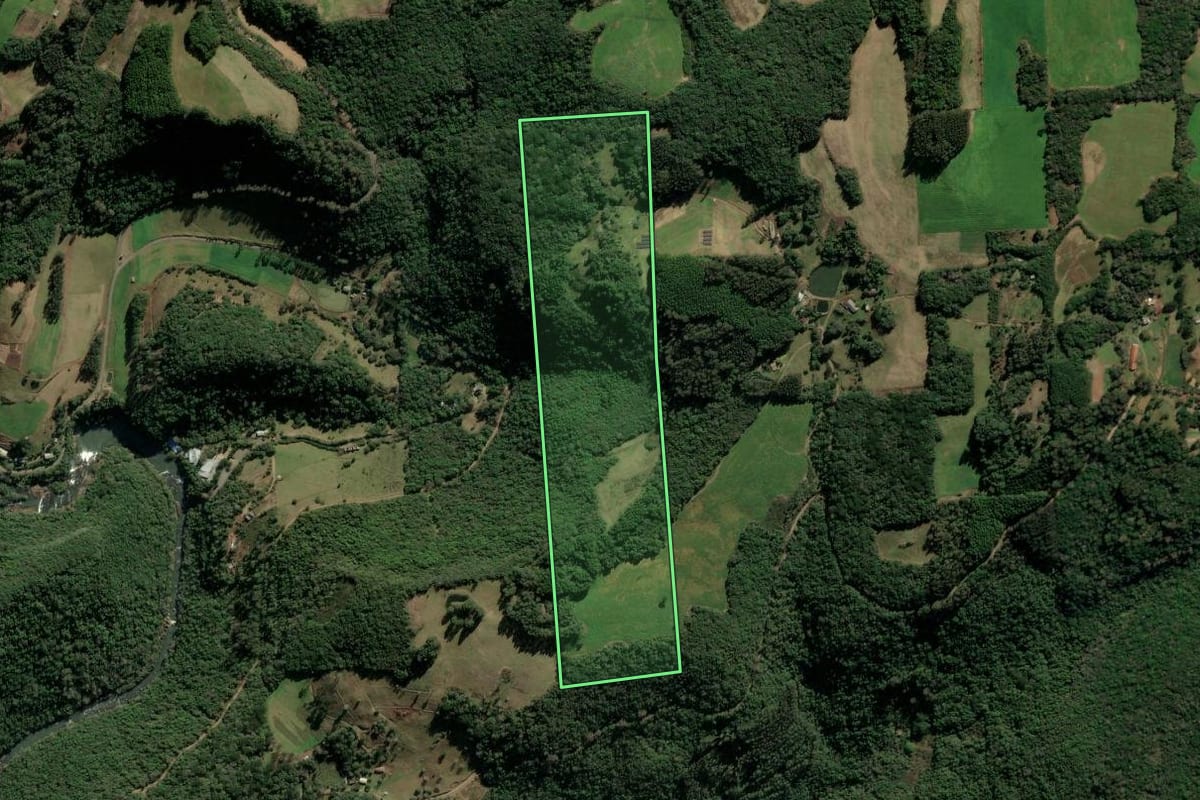 Imagem de satélite do imóvel rural em Protásio Alves (RS), com o contorno declarado no CAR desenhado por cima.
