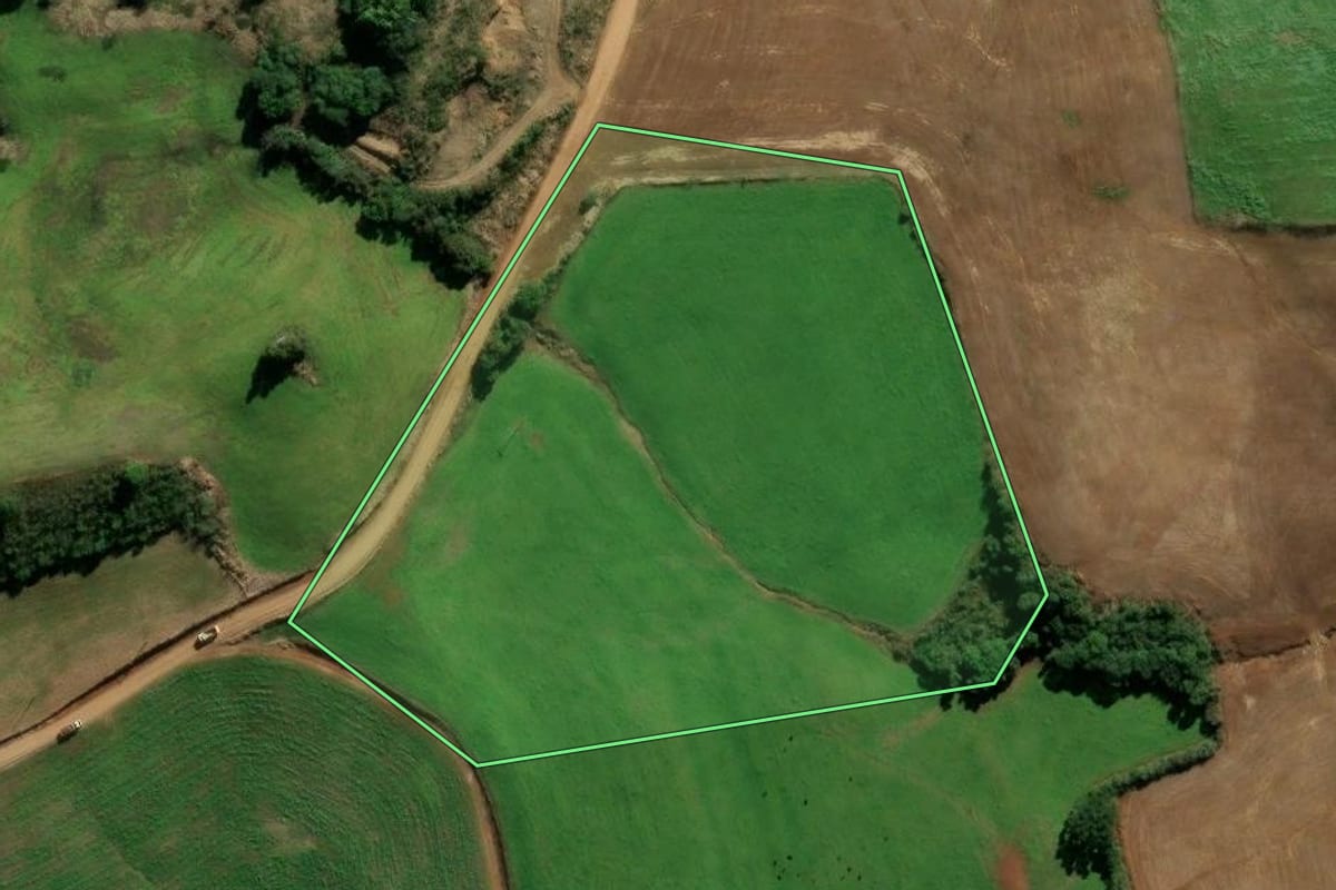 Imagem de satélite do imóvel rural em Protásio Alves (RS), com o contorno declarado no CAR desenhado por cima.