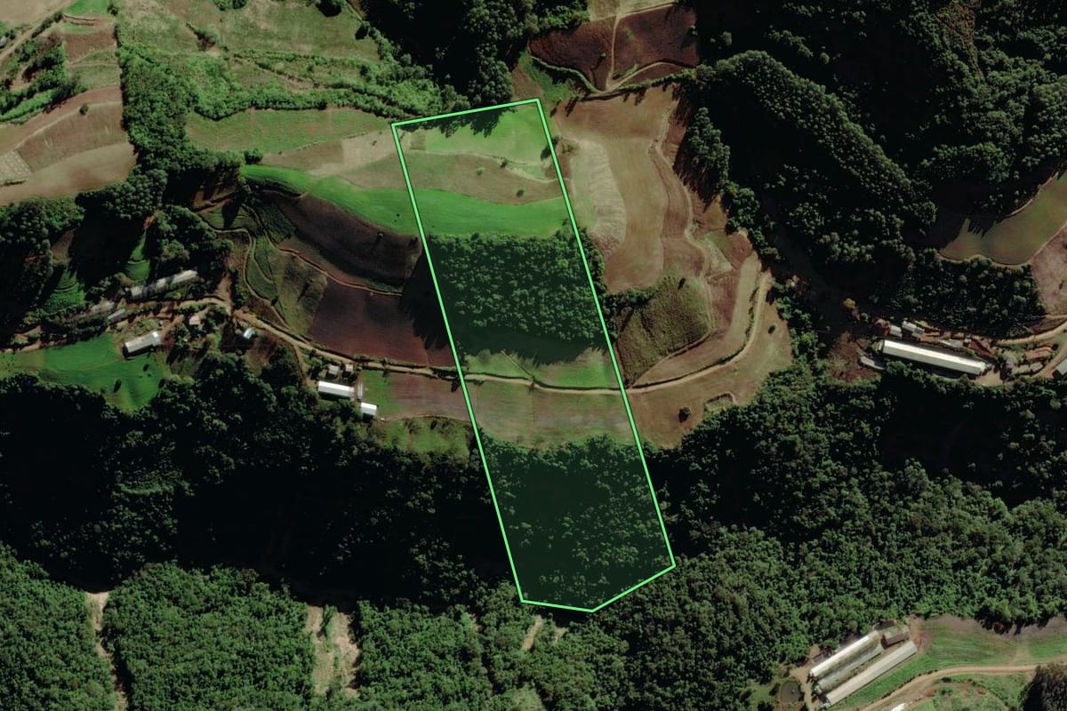 Imagem de satélite do imóvel rural em Putinga (RS), com o contorno declarado no CAR desenhado por cima.