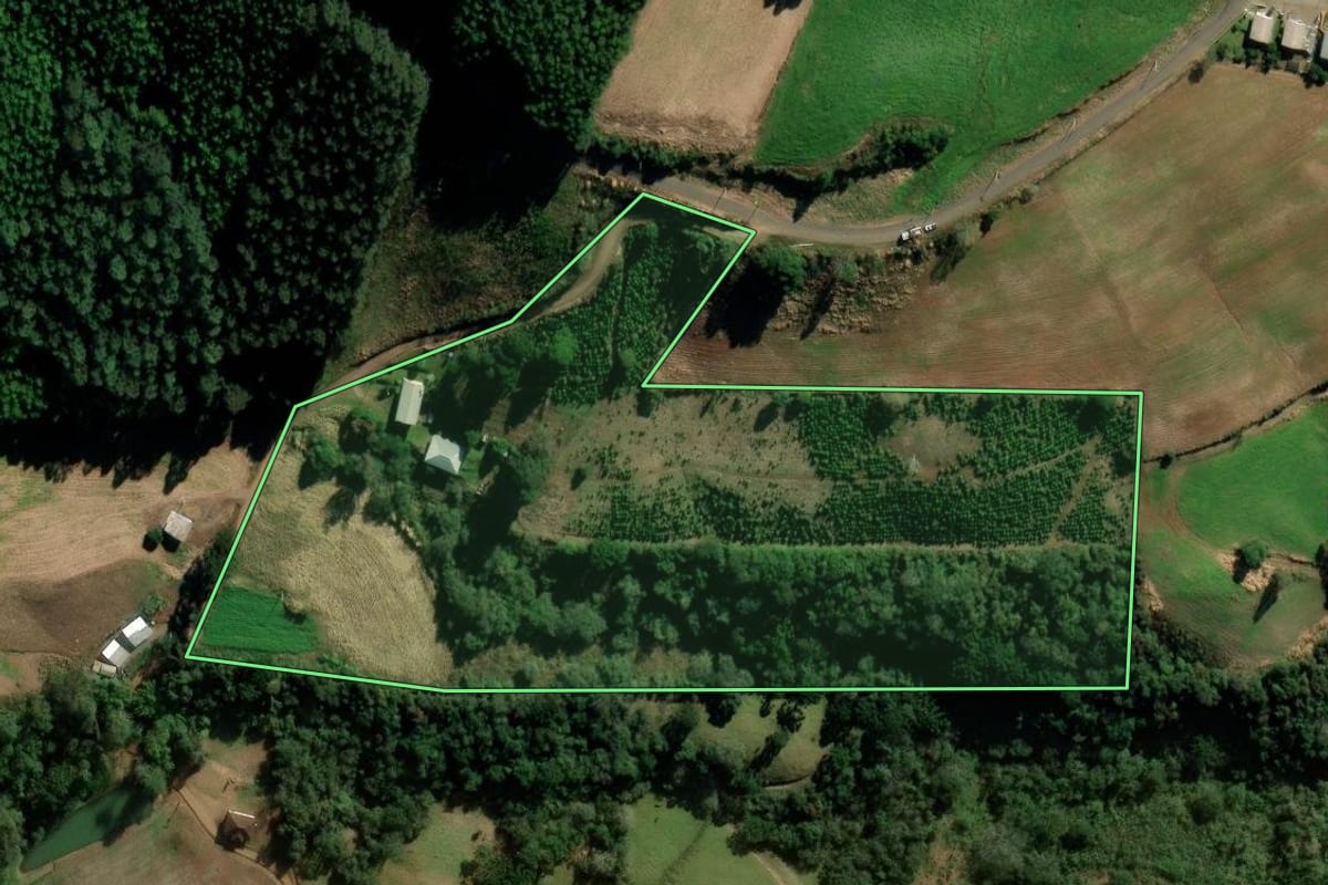 Imagem de satélite do imóvel rural em Putinga (RS), com o contorno declarado no CAR desenhado por cima.