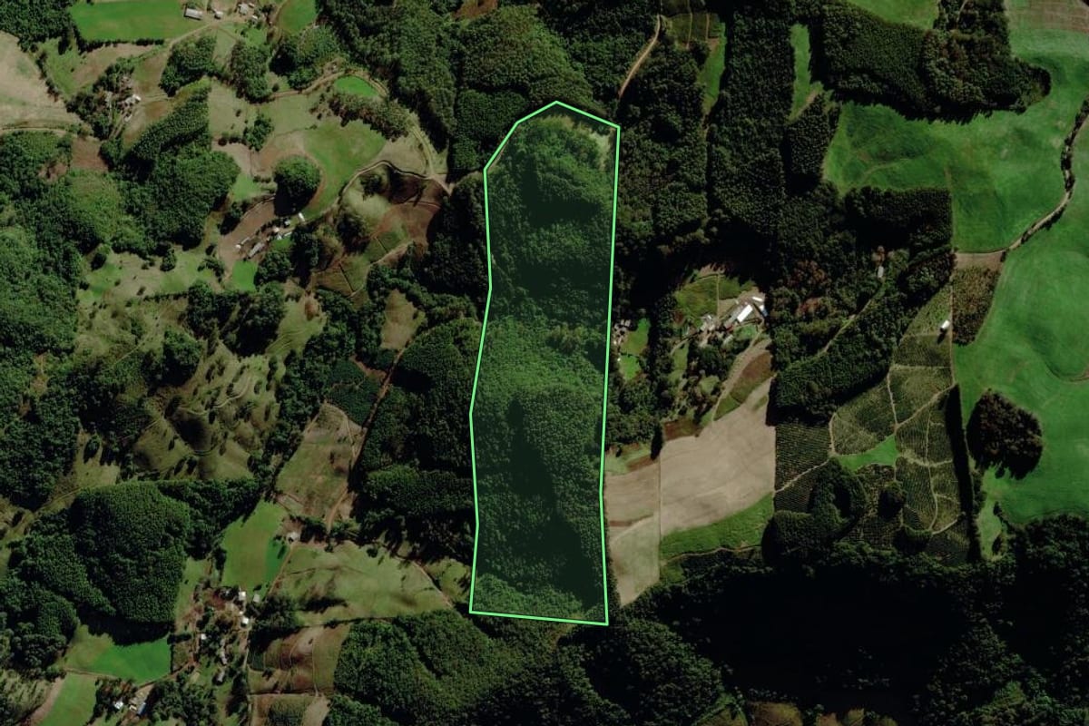 Imagem de satélite do imóvel rural em Putinga (RS), com o contorno declarado no CAR desenhado por cima.