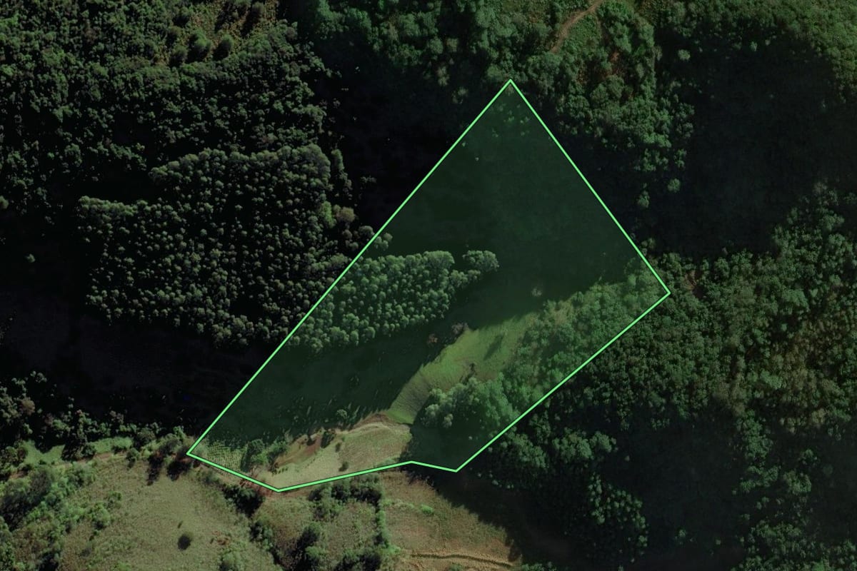 Imagem de satélite do imóvel rural em Putinga (RS), com o contorno declarado no CAR desenhado por cima.