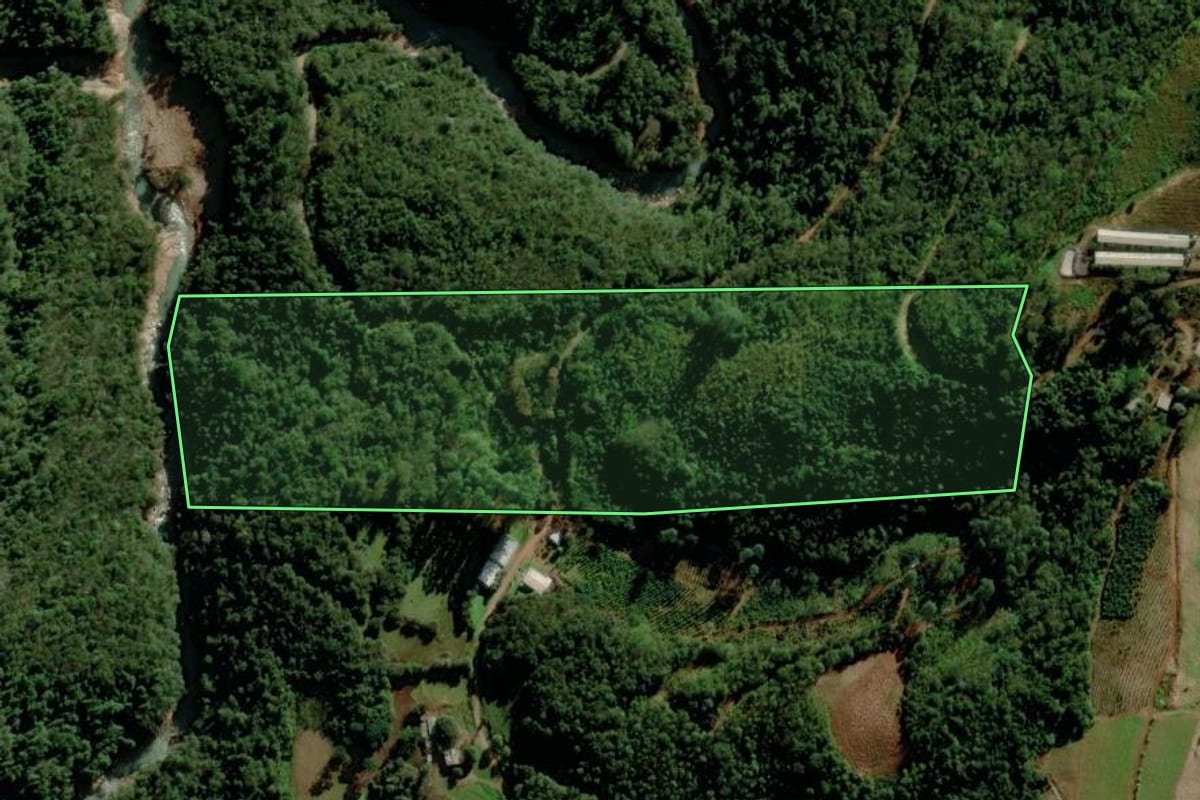 Imagem de satélite do imóvel rural em Putinga (RS), com o contorno declarado no CAR desenhado por cima.