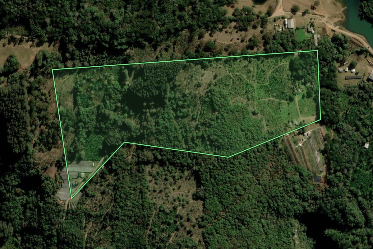 Imagem de satélite do imóvel rural em Putinga (RS), com o contorno declarado no CAR desenhado por cima.