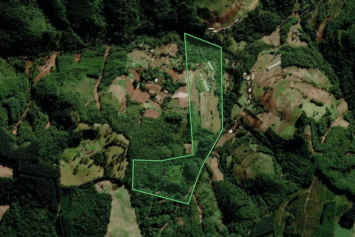 Imagem de satélite do imóvel rural em Putinga (RS), com o contorno declarado no CAR desenhado por cima.