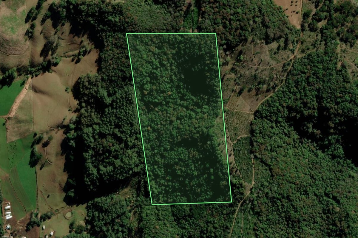 Imagem de satélite do imóvel rural em Putinga (RS), com o contorno declarado no CAR desenhado por cima.