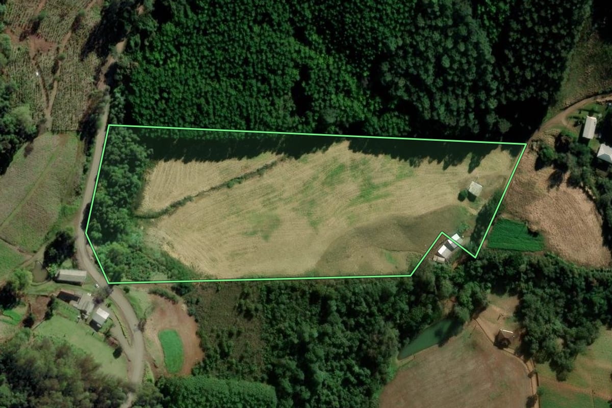 Imagem de satélite do imóvel rural em Putinga (RS), com o contorno declarado no CAR desenhado por cima.