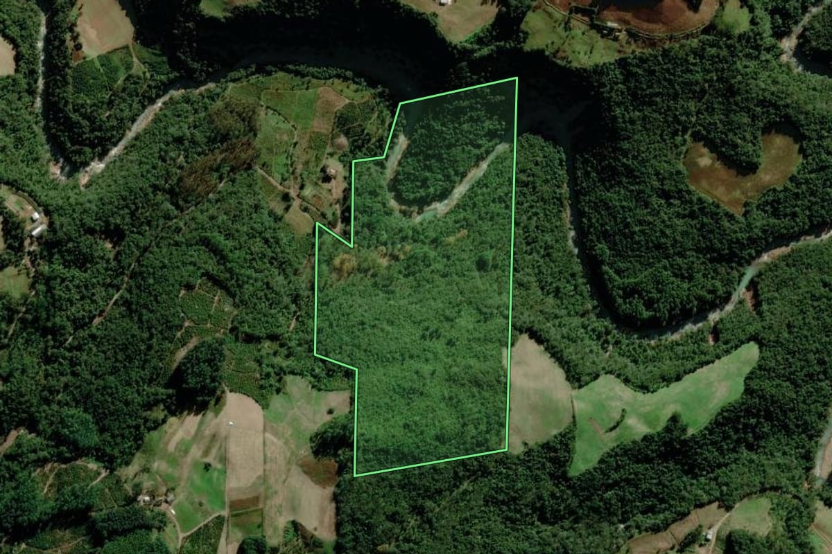 Imagem de satélite do imóvel rural em Putinga (RS), com o contorno declarado no CAR desenhado por cima.
