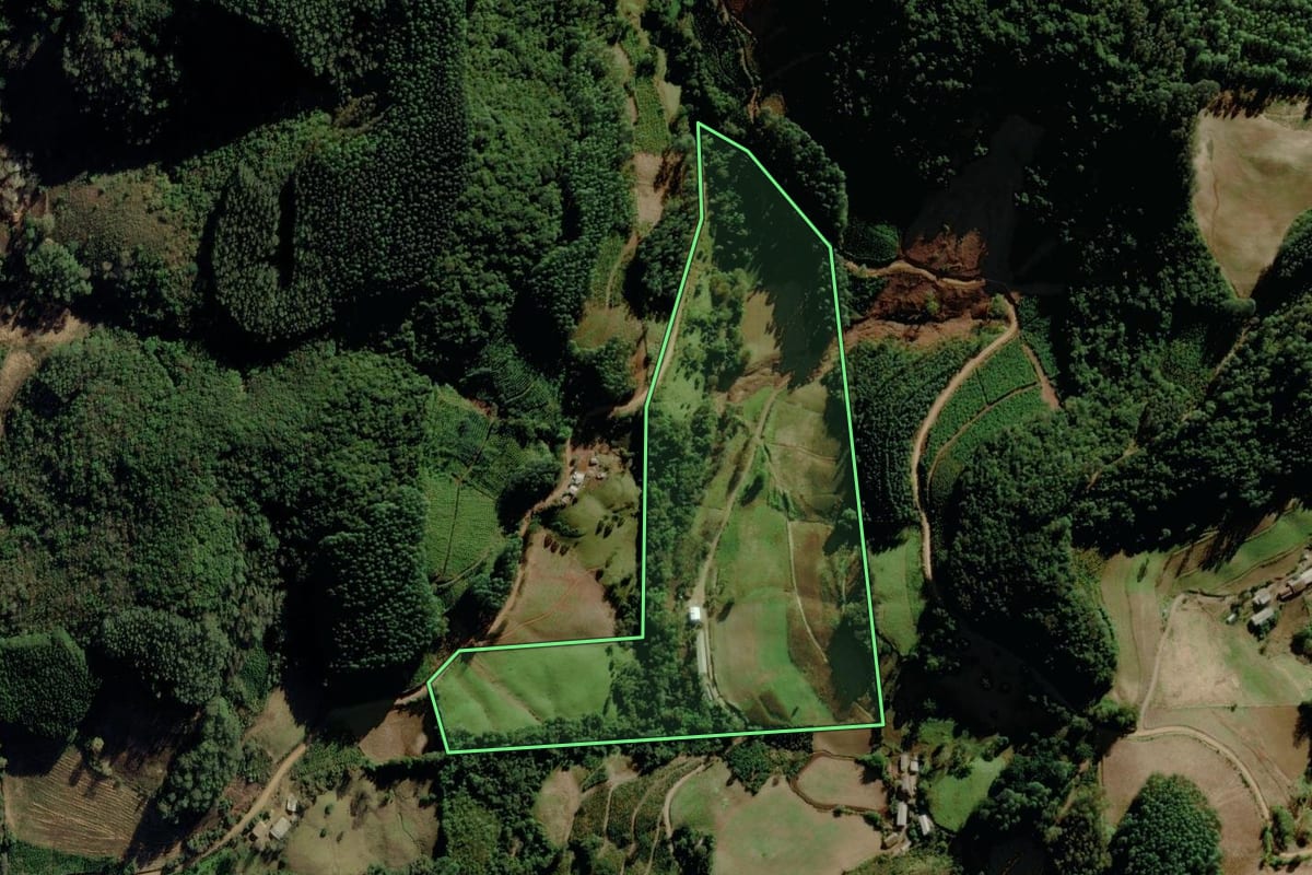 Imagem de satélite do imóvel rural em Putinga (RS), com o contorno declarado no CAR desenhado por cima.