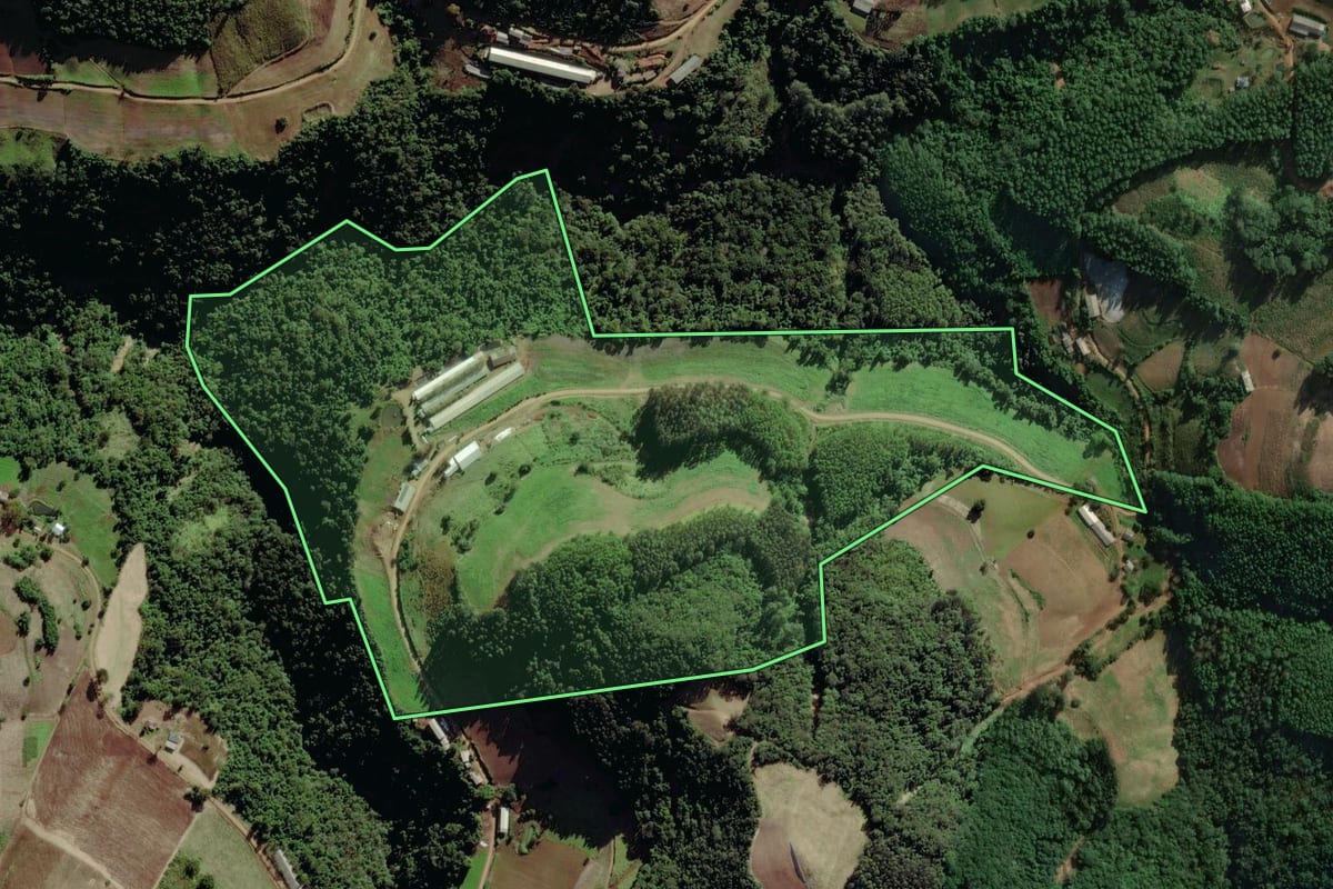 Imagem de satélite do imóvel rural em Putinga (RS), com o contorno declarado no CAR desenhado por cima.