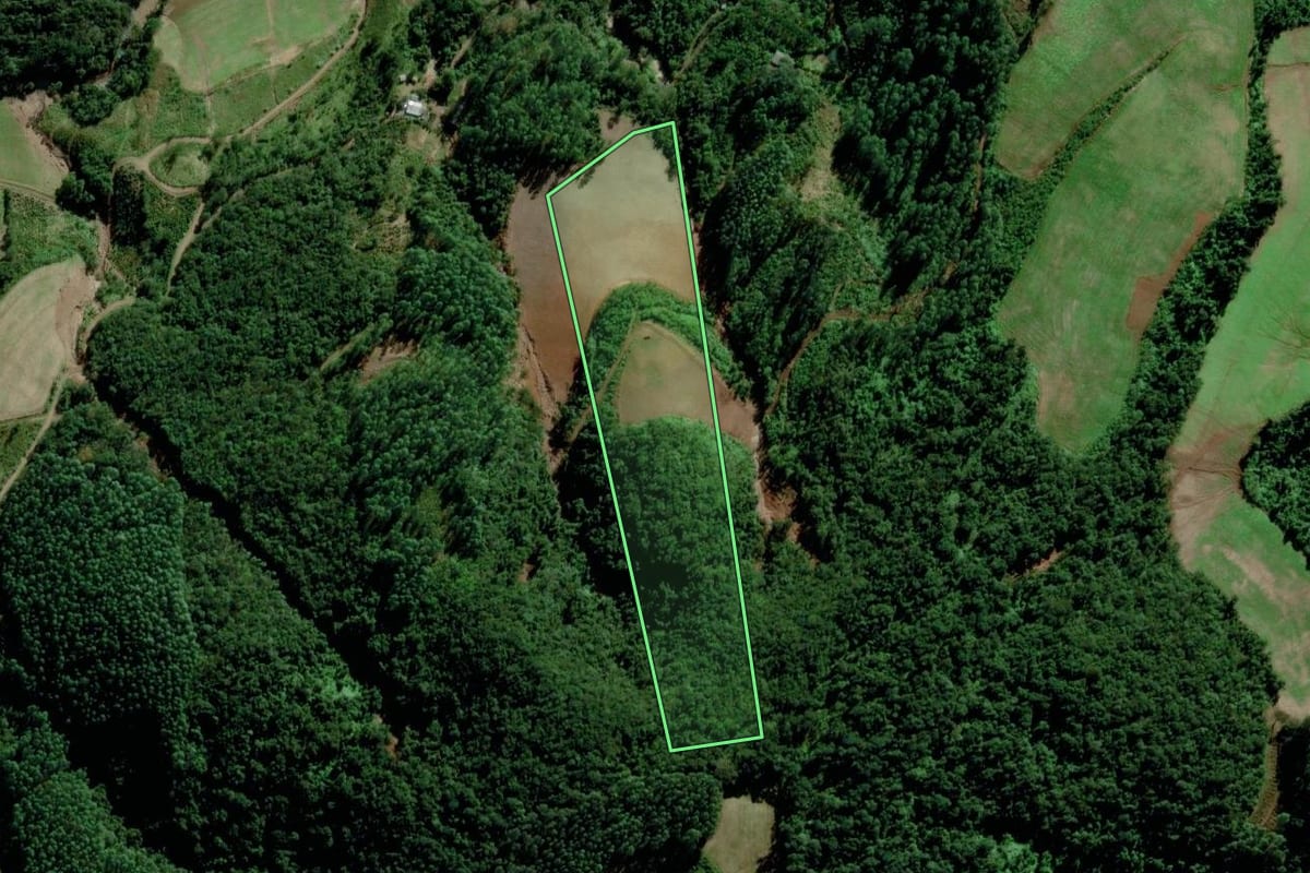 Imagem de satélite do imóvel rural em Putinga (RS), com o contorno declarado no CAR desenhado por cima.
