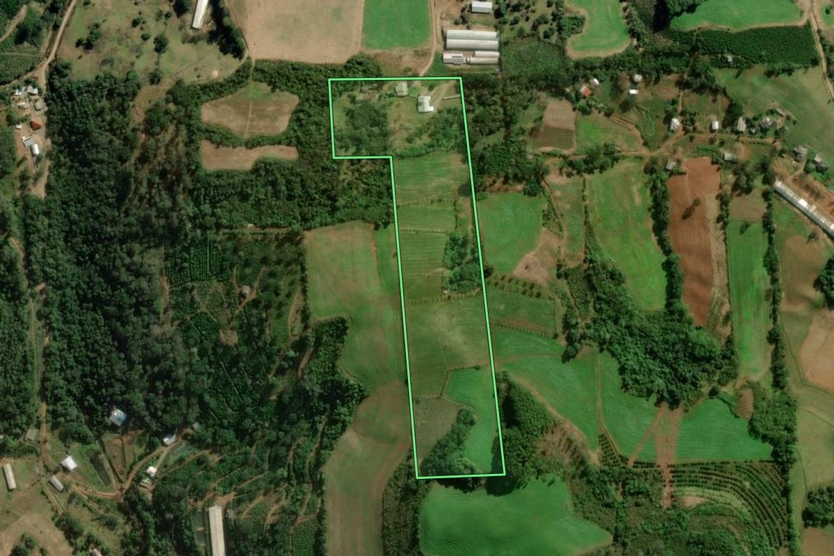 Imagem de satélite do imóvel rural em Putinga (RS), com o contorno declarado no CAR desenhado por cima.