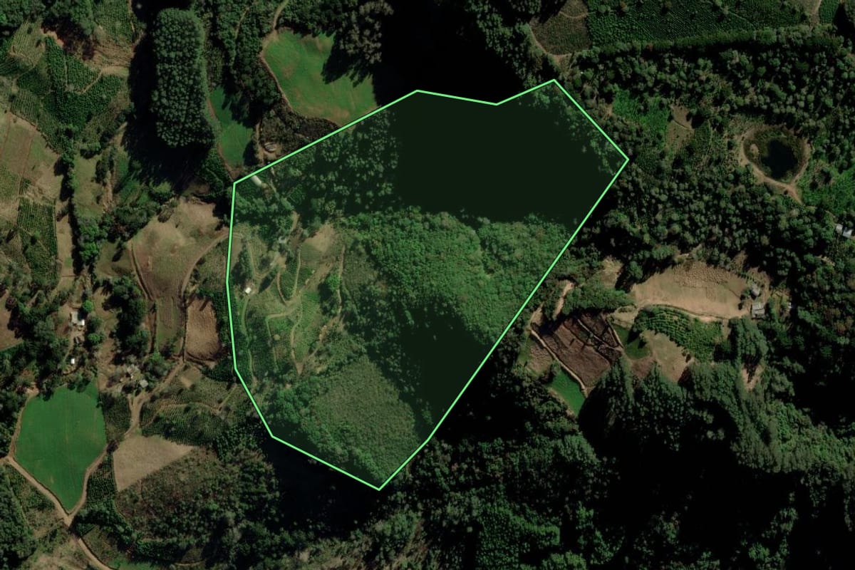 Imagem de satélite do imóvel rural em Putinga (RS), com o contorno declarado no CAR desenhado por cima.