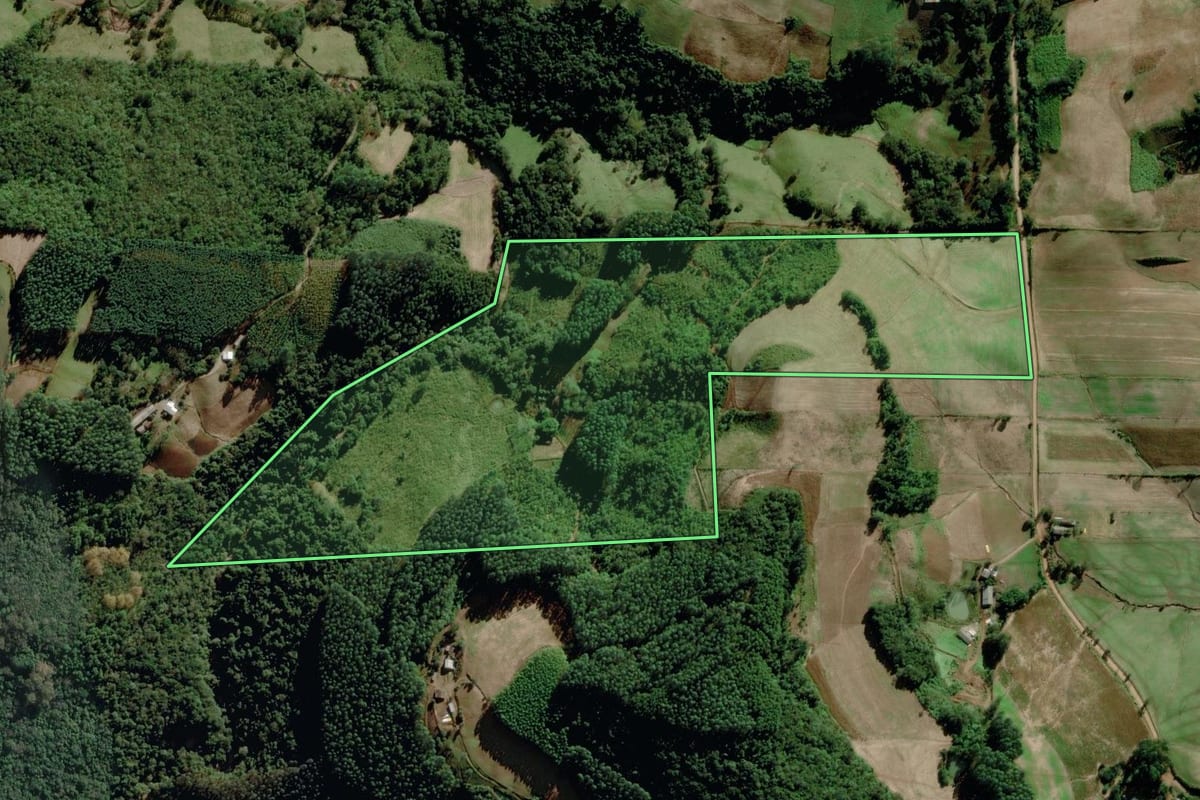 Imagem de satélite do imóvel rural em Putinga (RS), com o contorno declarado no CAR desenhado por cima.