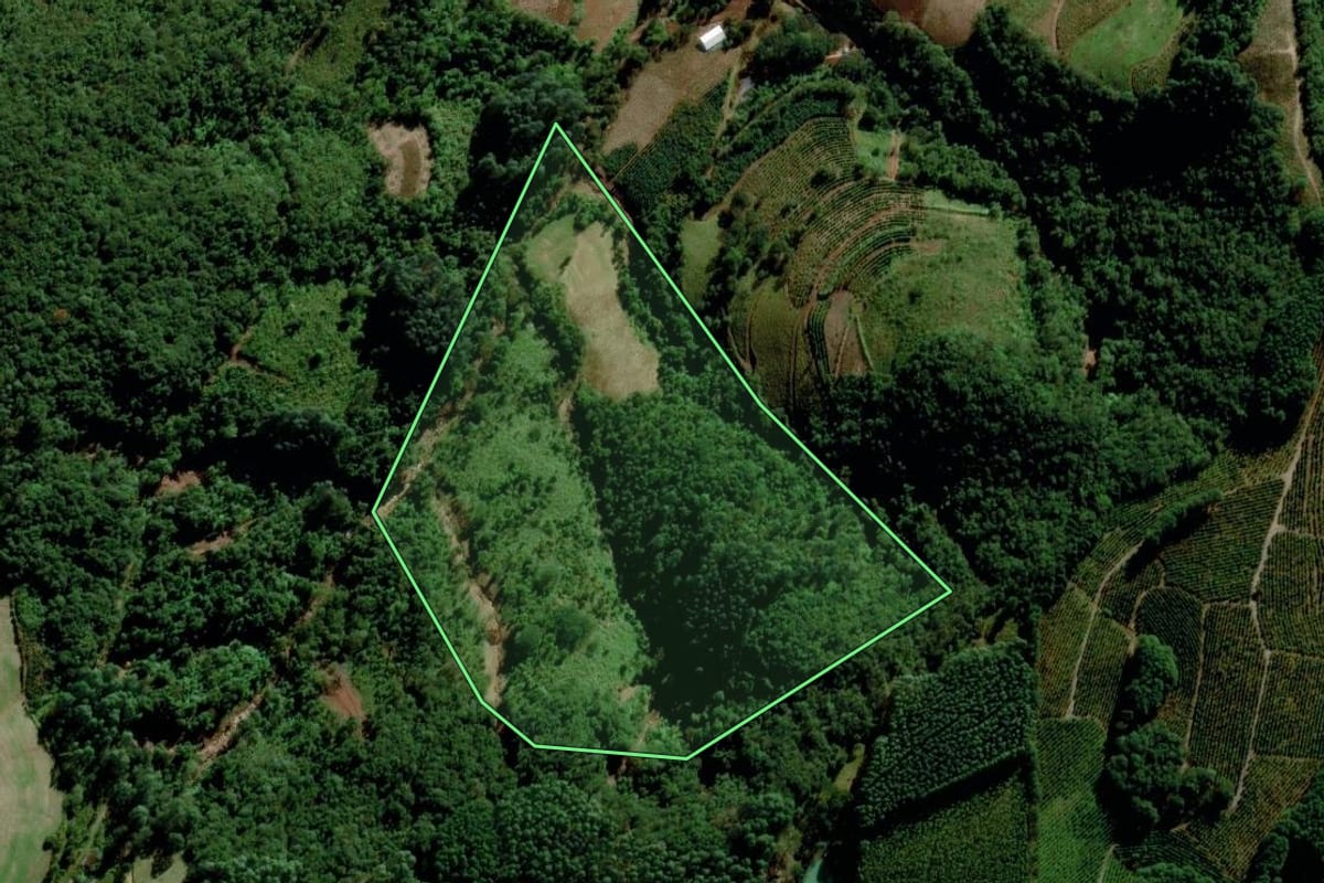 Imagem de satélite do imóvel rural em Putinga (RS), com o contorno declarado no CAR desenhado por cima.