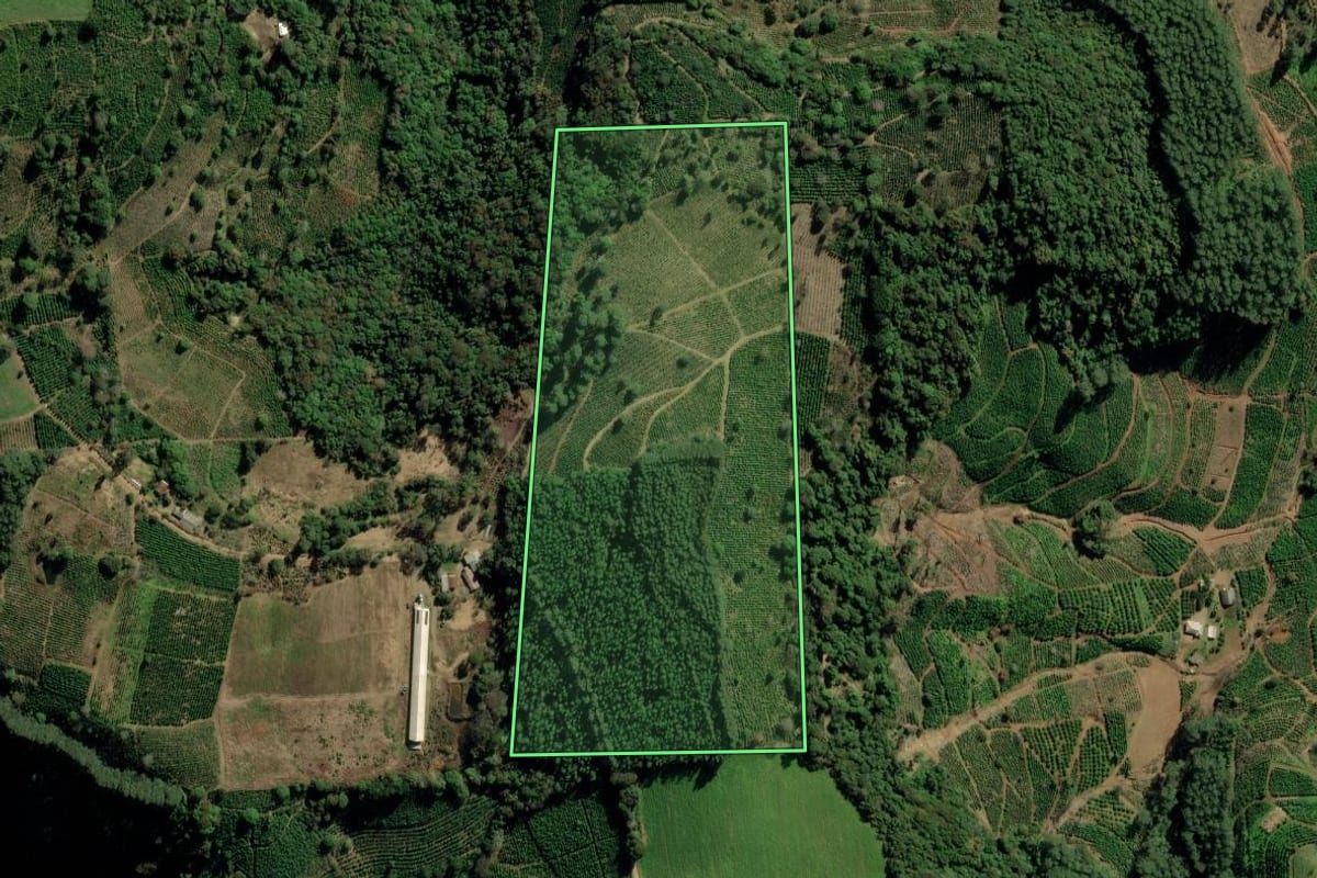 Imagem de satélite do imóvel rural em Putinga (RS), com o contorno declarado no CAR desenhado por cima.