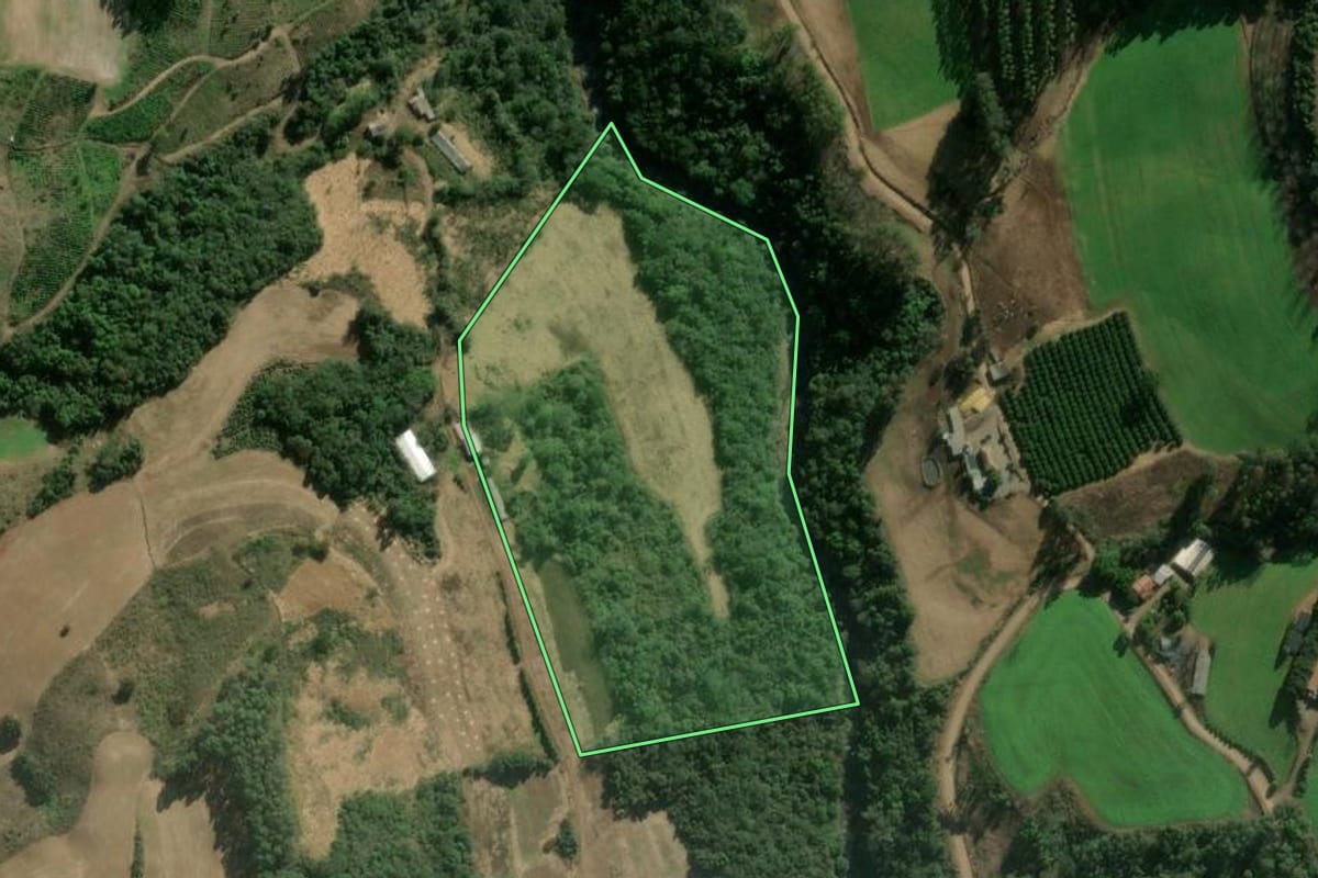 Imagem de satélite do imóvel rural em Putinga (RS), com o contorno declarado no CAR desenhado por cima.
