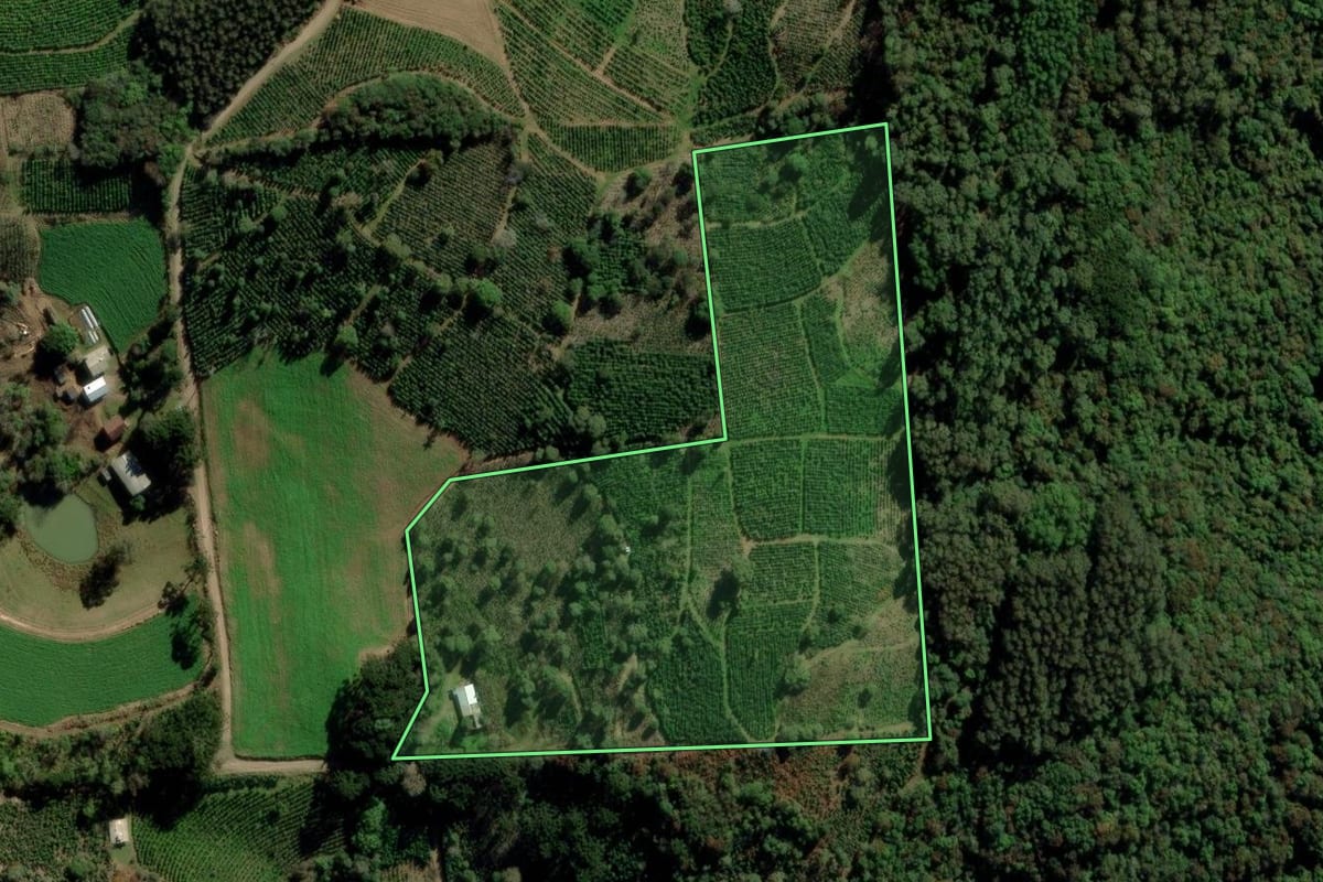 Imagem de satélite do imóvel rural em Putinga (RS), com o contorno declarado no CAR desenhado por cima.