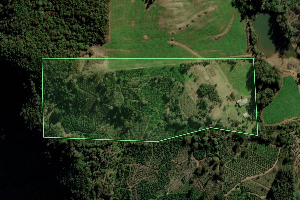 Imagem de satélite do imóvel rural em Putinga (RS), com o contorno declarado no CAR desenhado por cima.