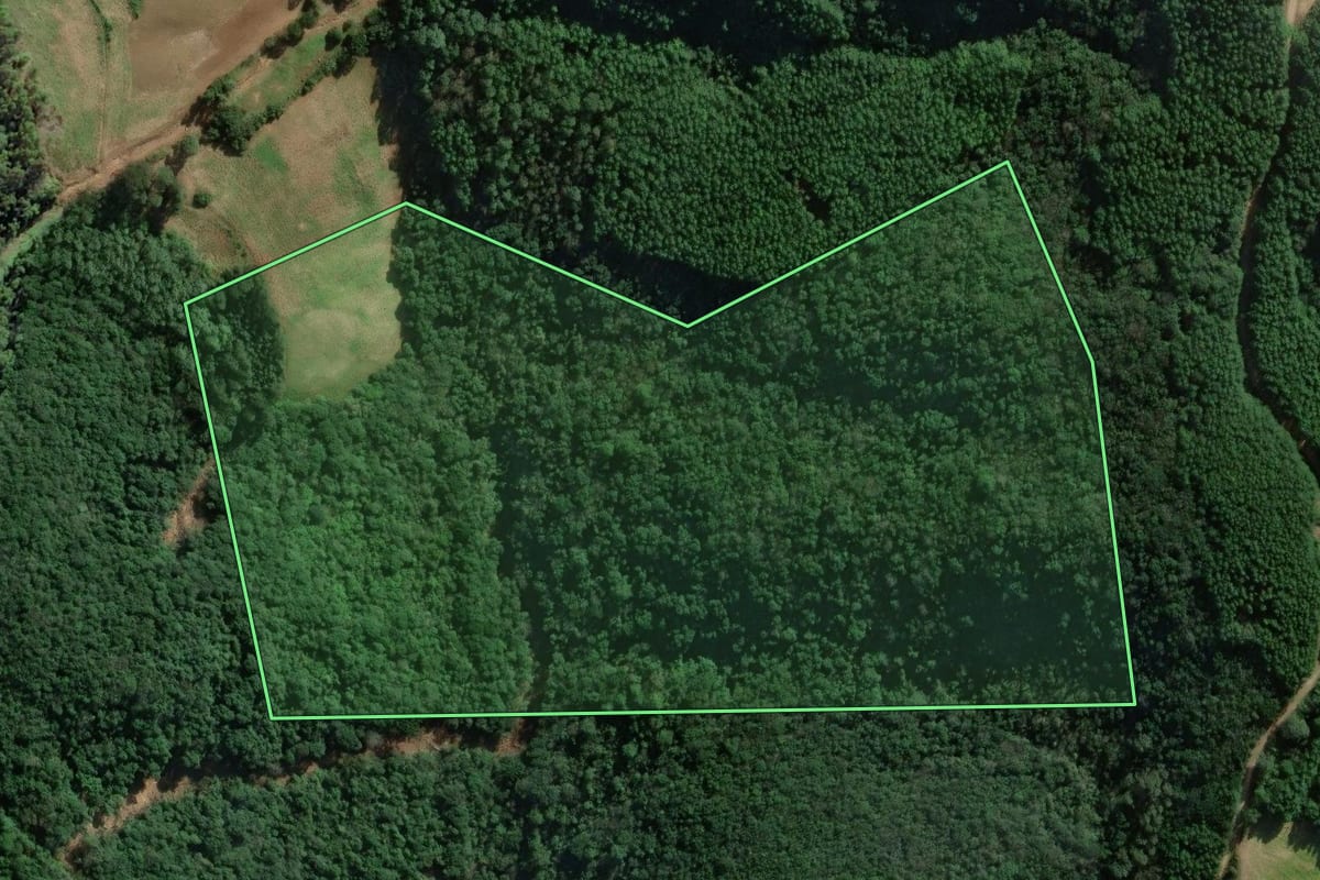 Imagem de satélite do imóvel rural em Putinga (RS), com o contorno declarado no CAR desenhado por cima.