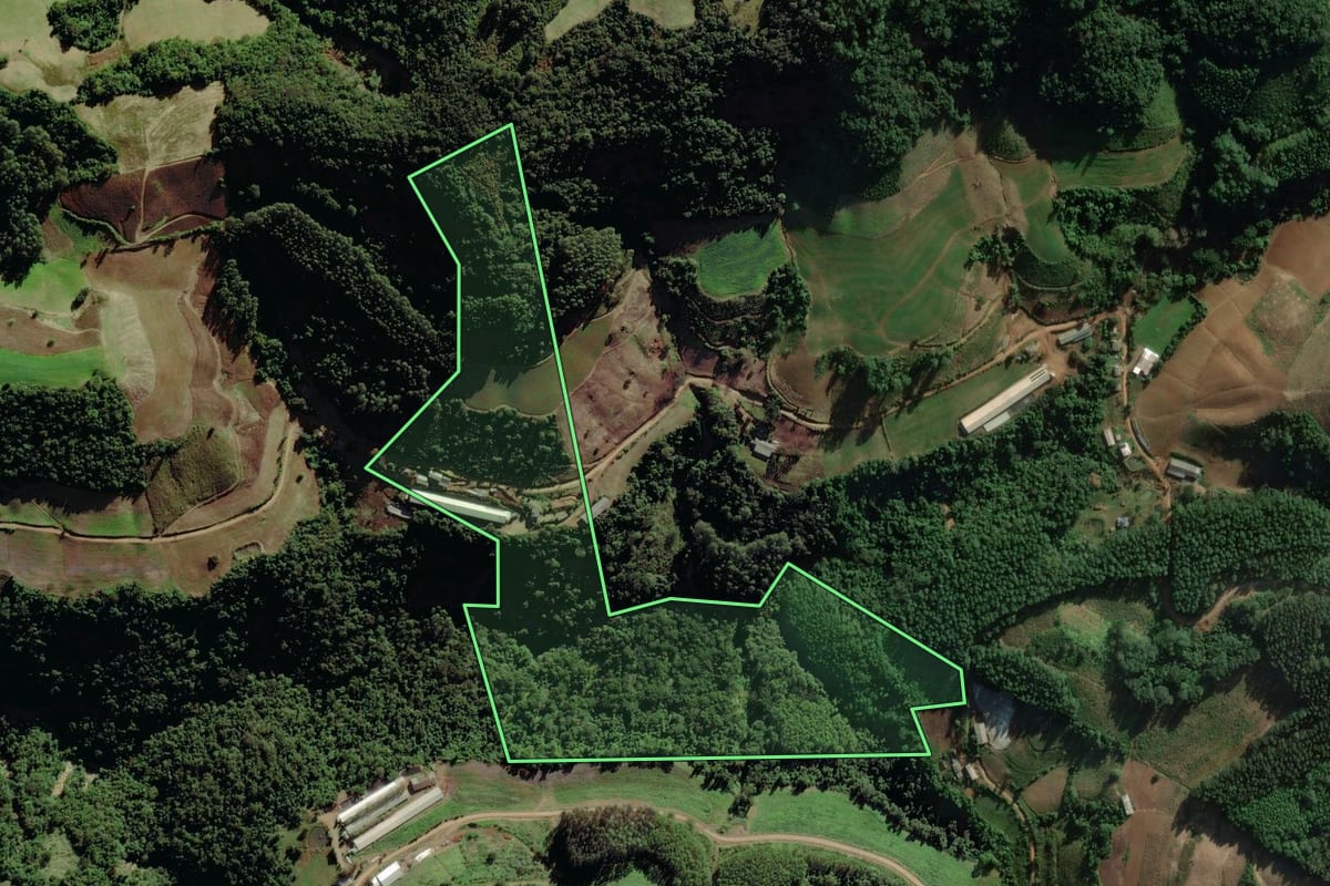Imagem de satélite do imóvel rural em Putinga (RS), com o contorno declarado no CAR desenhado por cima.