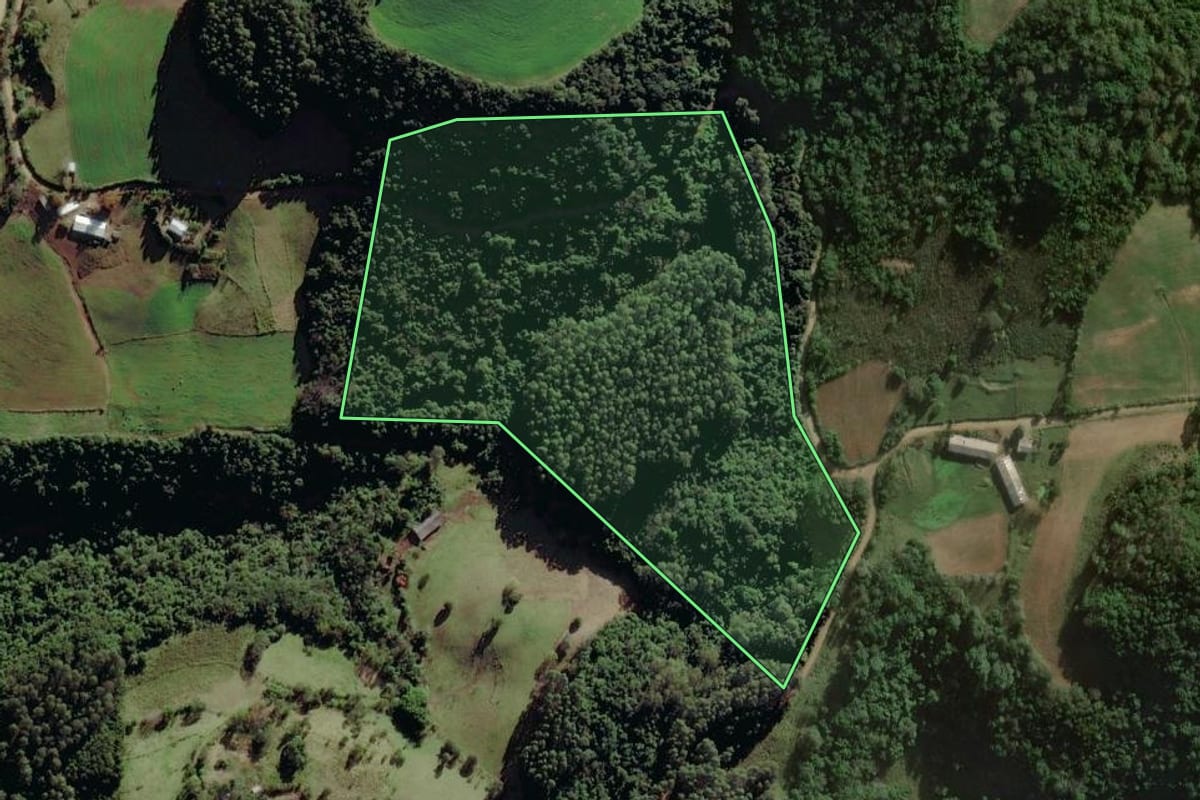 Imagem de satélite do imóvel rural em Putinga (RS), com o contorno declarado no CAR desenhado por cima.