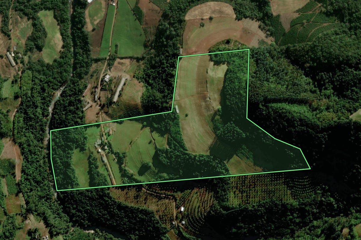 Imagem de satélite do imóvel rural em Putinga (RS), com o contorno declarado no CAR desenhado por cima.