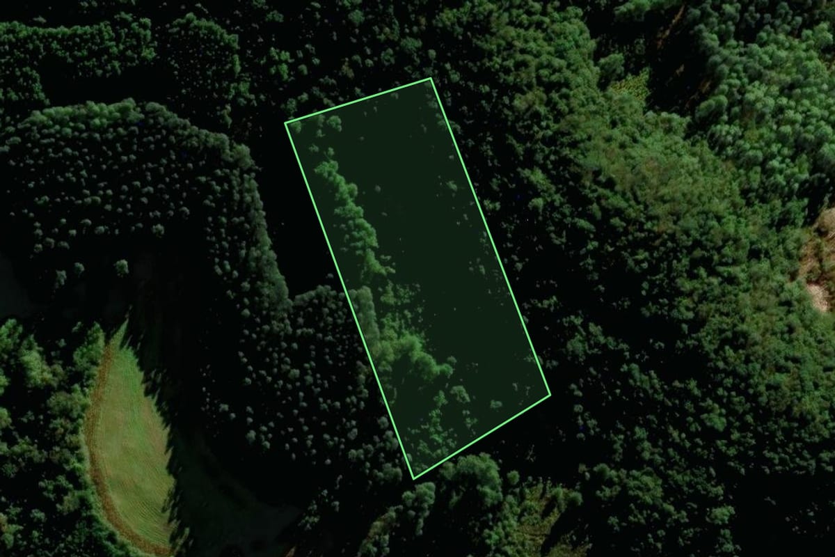 Imagem de satélite do imóvel rural em Putinga (RS), com o contorno declarado no CAR desenhado por cima.
