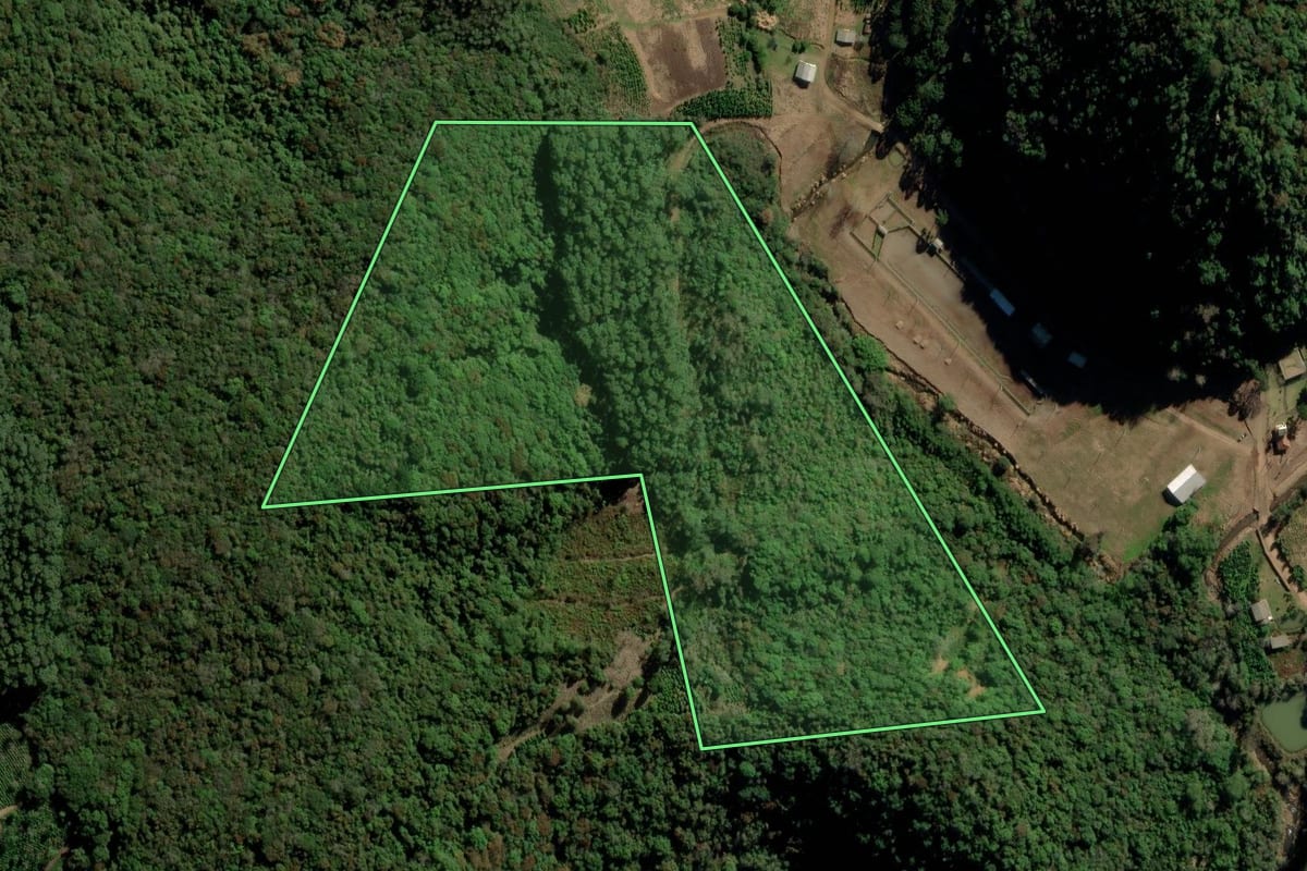 Imagem de satélite do imóvel rural em Putinga (RS), com o contorno declarado no CAR desenhado por cima.