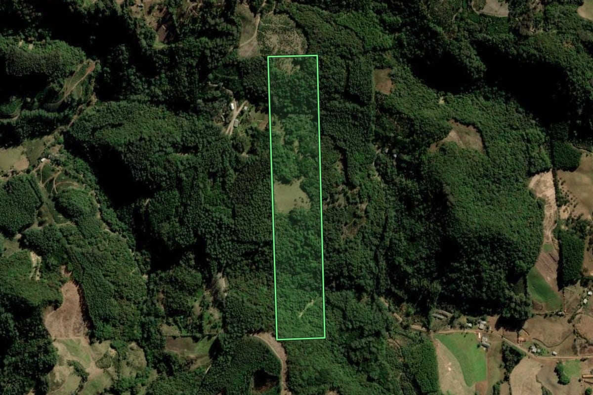 Imagem de satélite do imóvel rural em Putinga (RS), com o contorno declarado no CAR desenhado por cima.