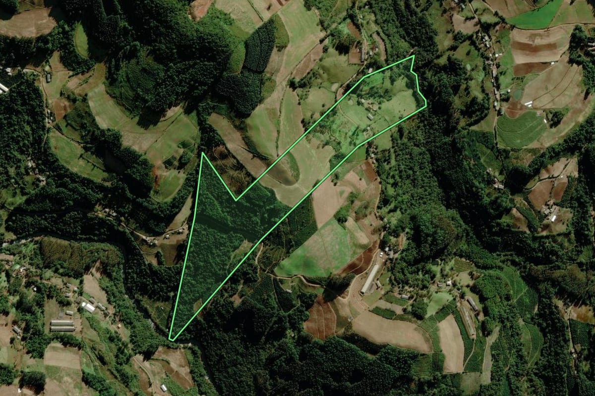 Imagem de satélite do imóvel rural em Putinga (RS), com o contorno declarado no CAR desenhado por cima.