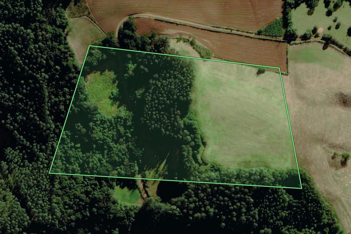 Imagem de satélite do imóvel rural em Putinga (RS), com o contorno declarado no CAR desenhado por cima.