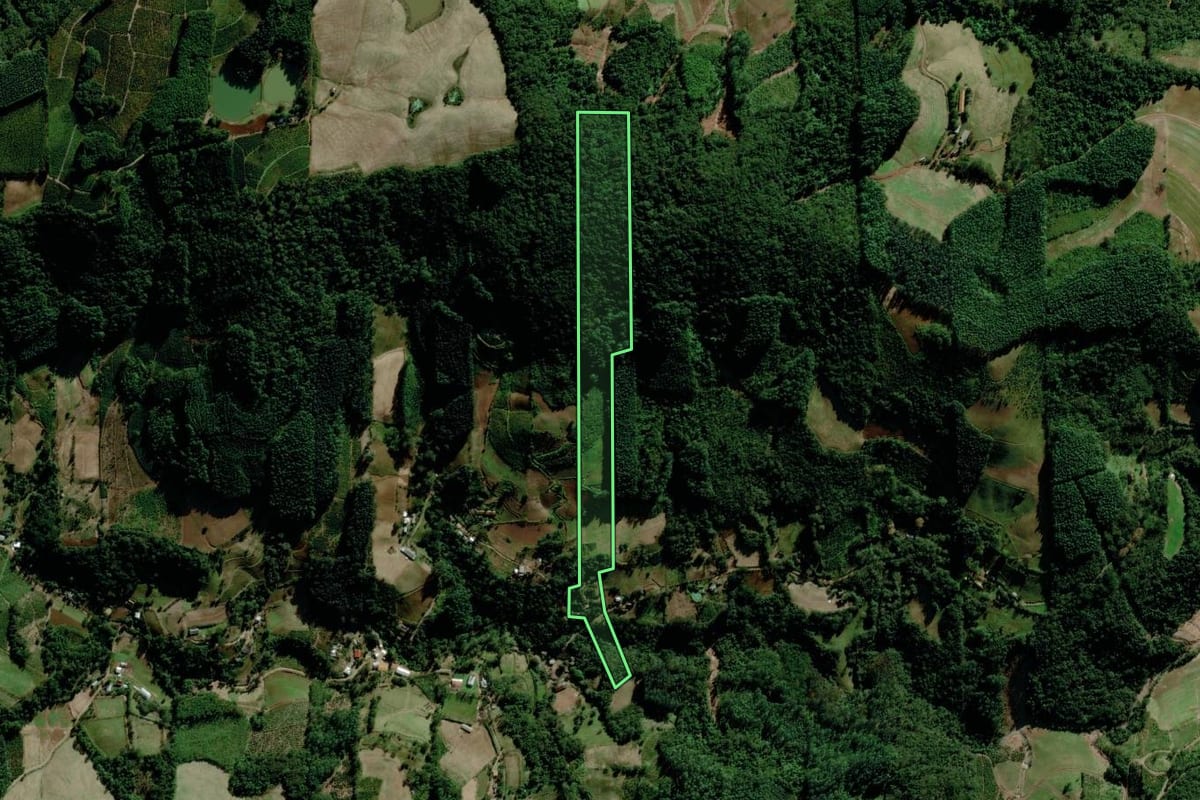 Imagem de satélite do imóvel rural em Putinga (RS), com o contorno declarado no CAR desenhado por cima.