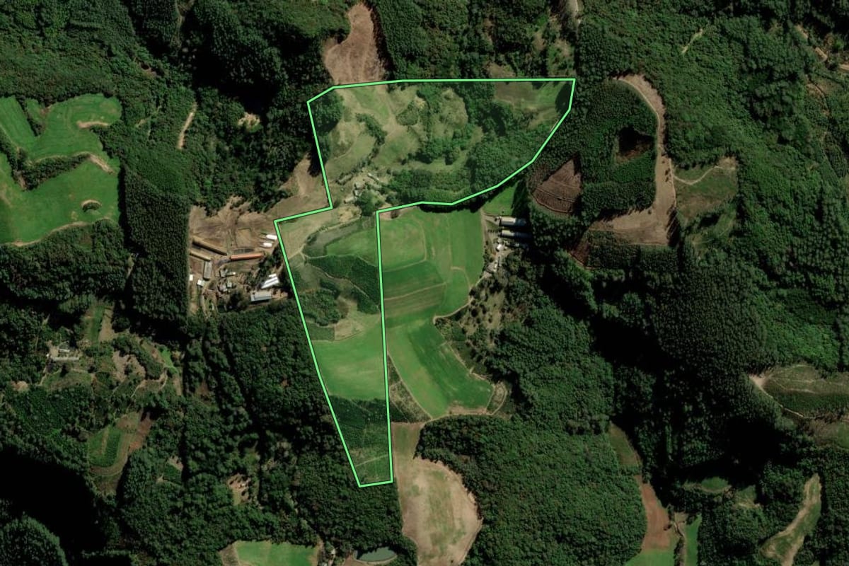 Imagem de satélite do imóvel rural em Putinga (RS), com o contorno declarado no CAR desenhado por cima.
