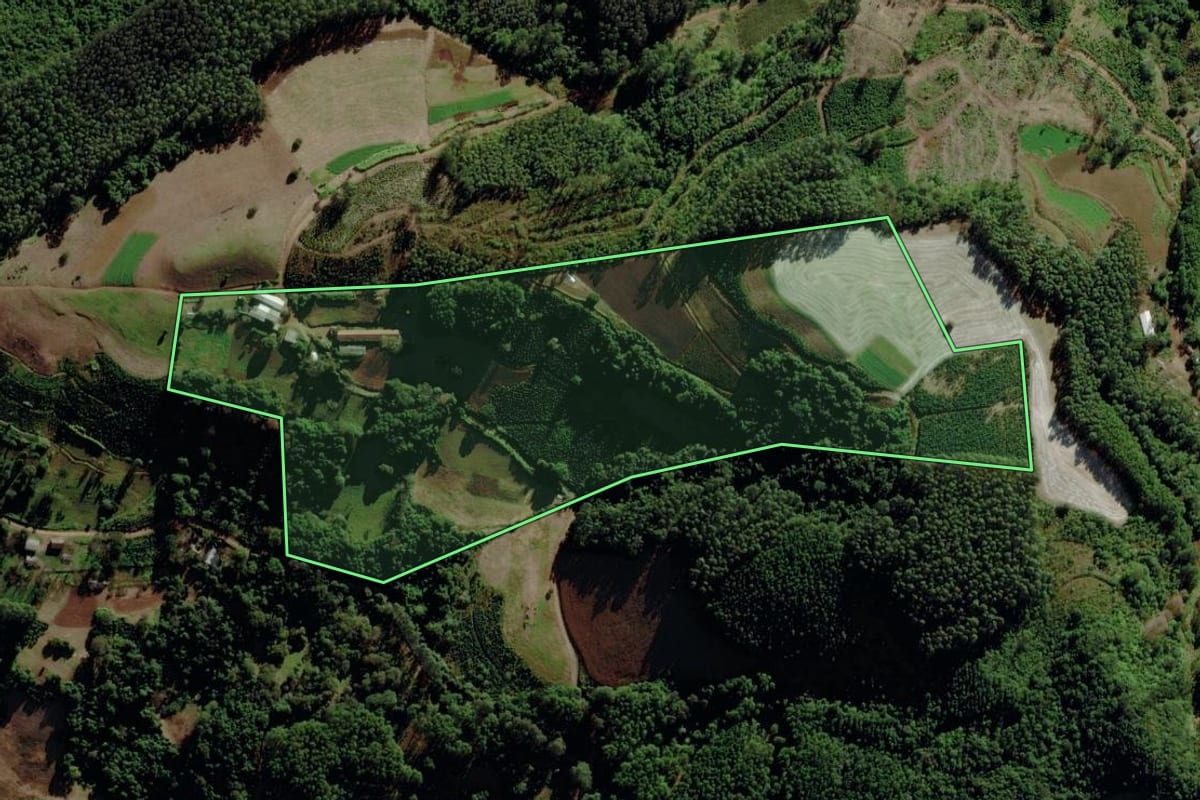 Imagem de satélite do imóvel rural em Putinga (RS), com o contorno declarado no CAR desenhado por cima.