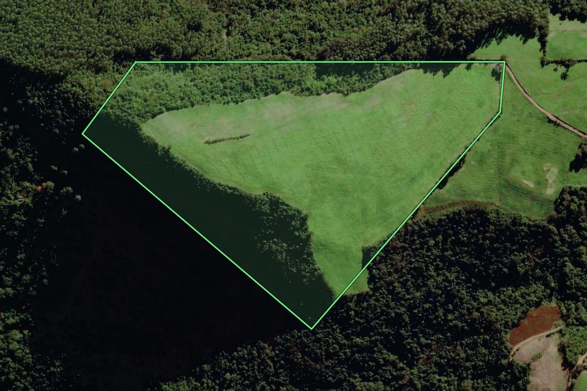 Imagem de satélite do imóvel rural em Putinga (RS), com o contorno declarado no CAR desenhado por cima.