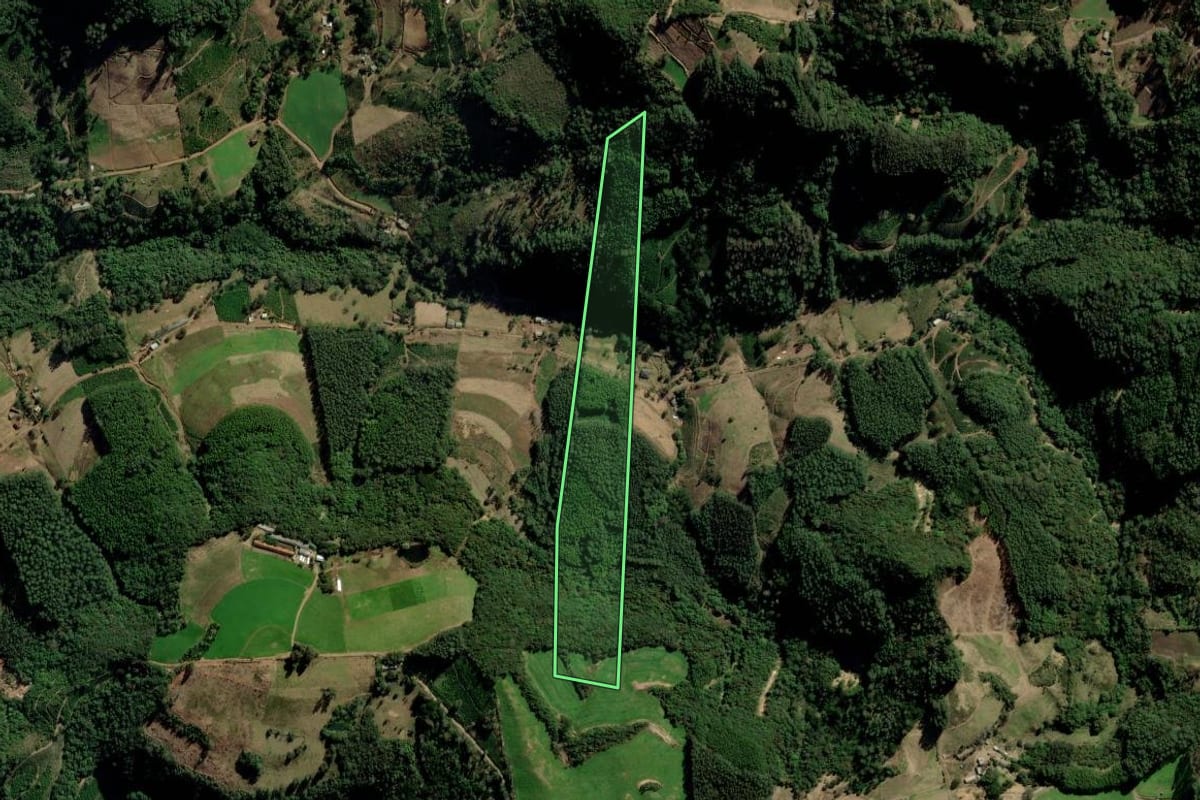 Imagem de satélite do imóvel rural em Putinga (RS), com o contorno declarado no CAR desenhado por cima.
