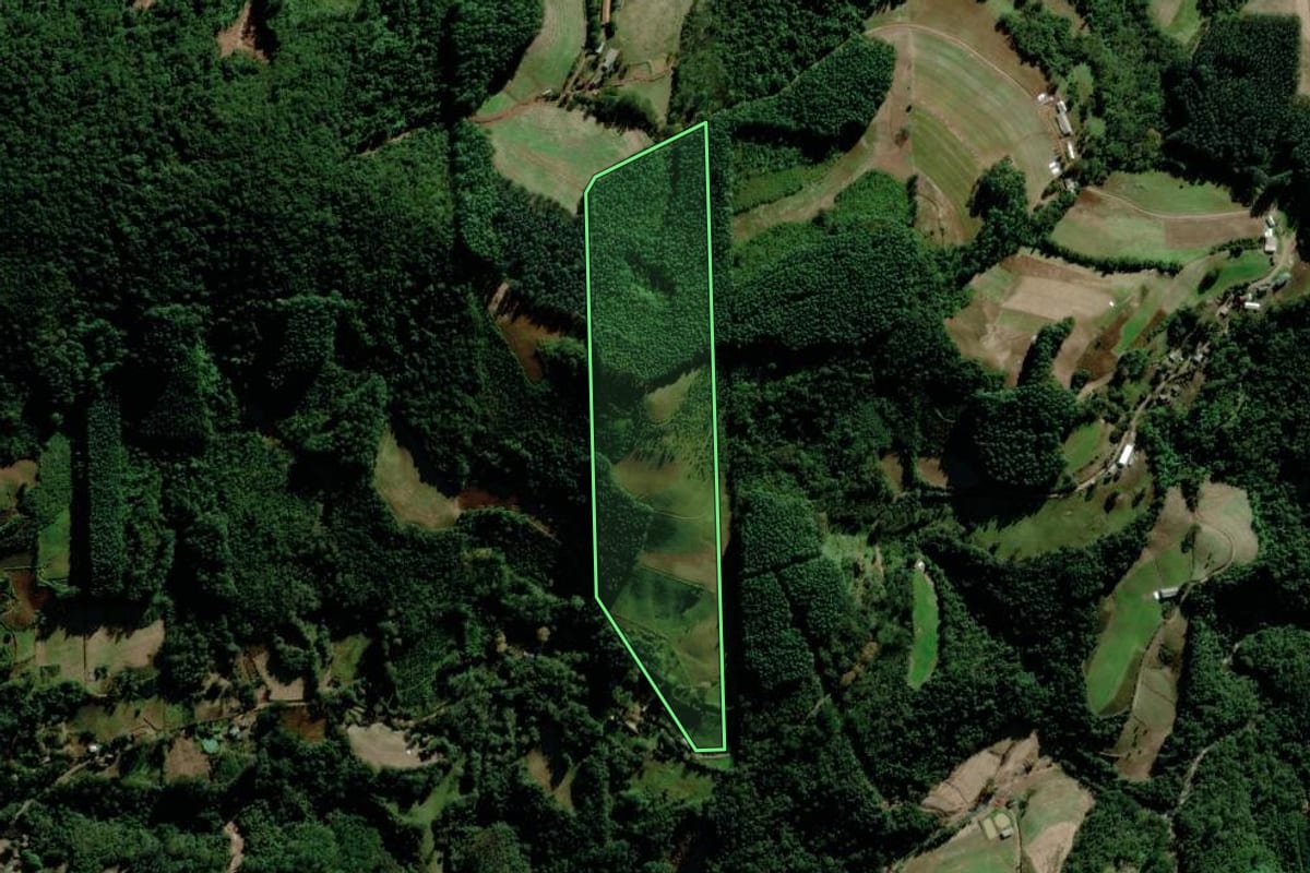 Imagem de satélite do imóvel rural em Putinga (RS), com o contorno declarado no CAR desenhado por cima.