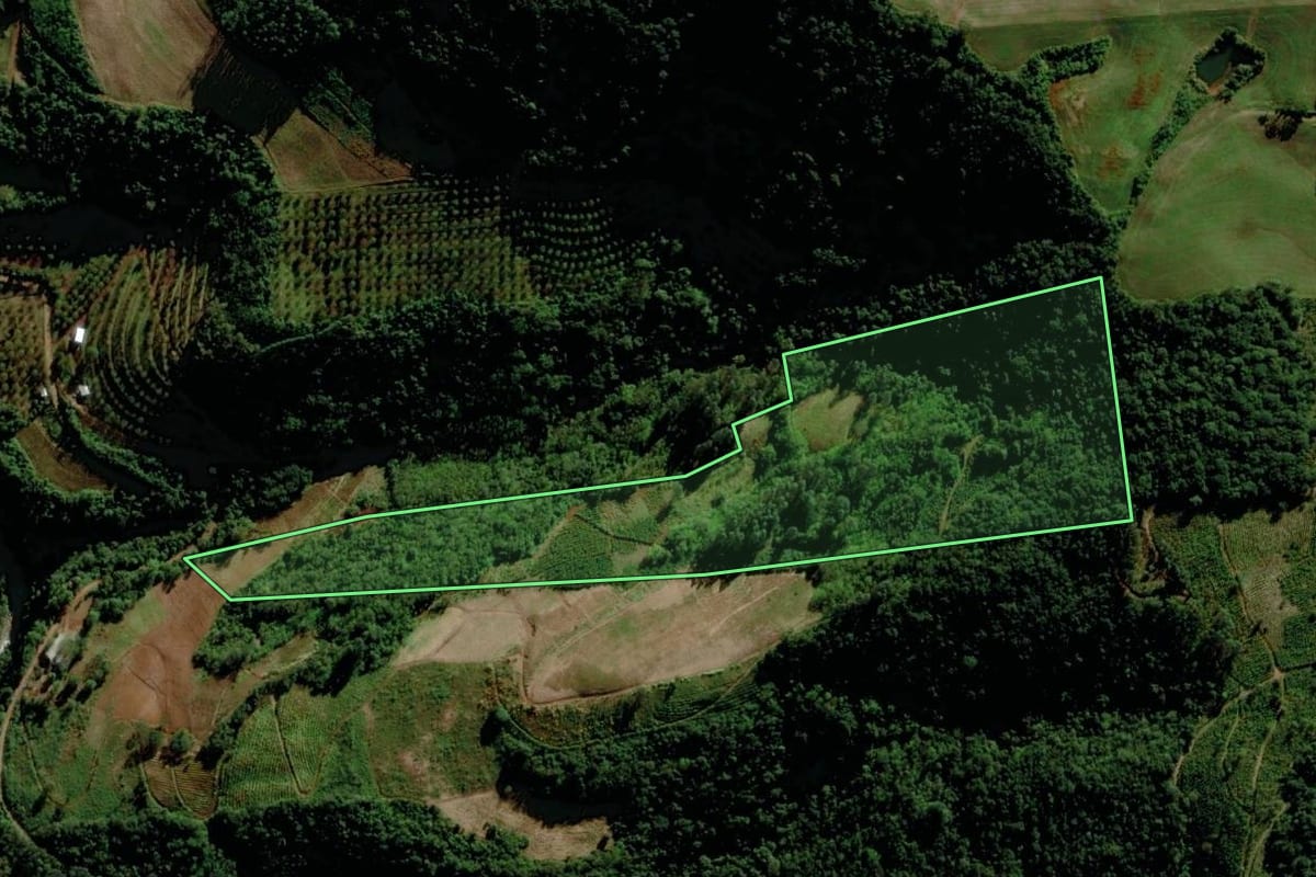 Imagem de satélite do imóvel rural em Putinga (RS), com o contorno declarado no CAR desenhado por cima.