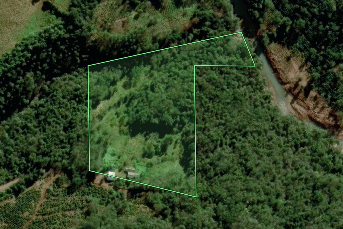 Imagem de satélite do imóvel rural em Putinga (RS), com o contorno declarado no CAR desenhado por cima.