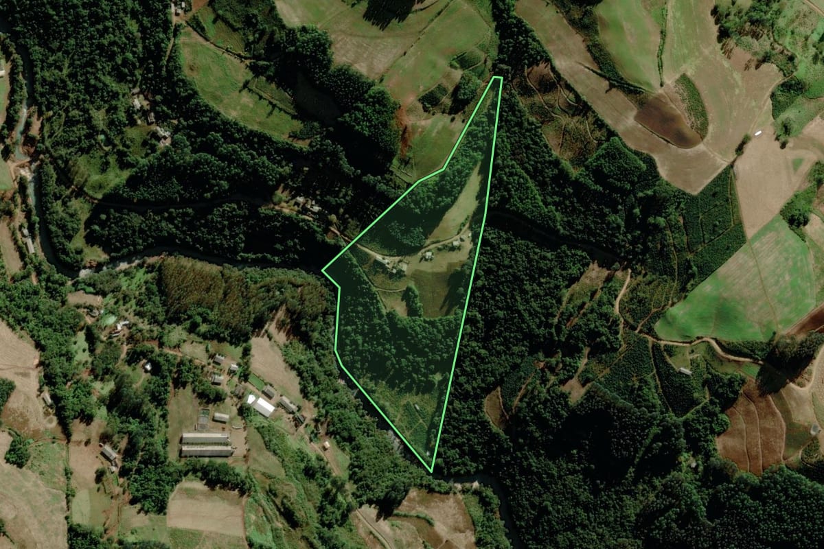 Imagem de satélite do imóvel rural em Putinga (RS), com o contorno declarado no CAR desenhado por cima.