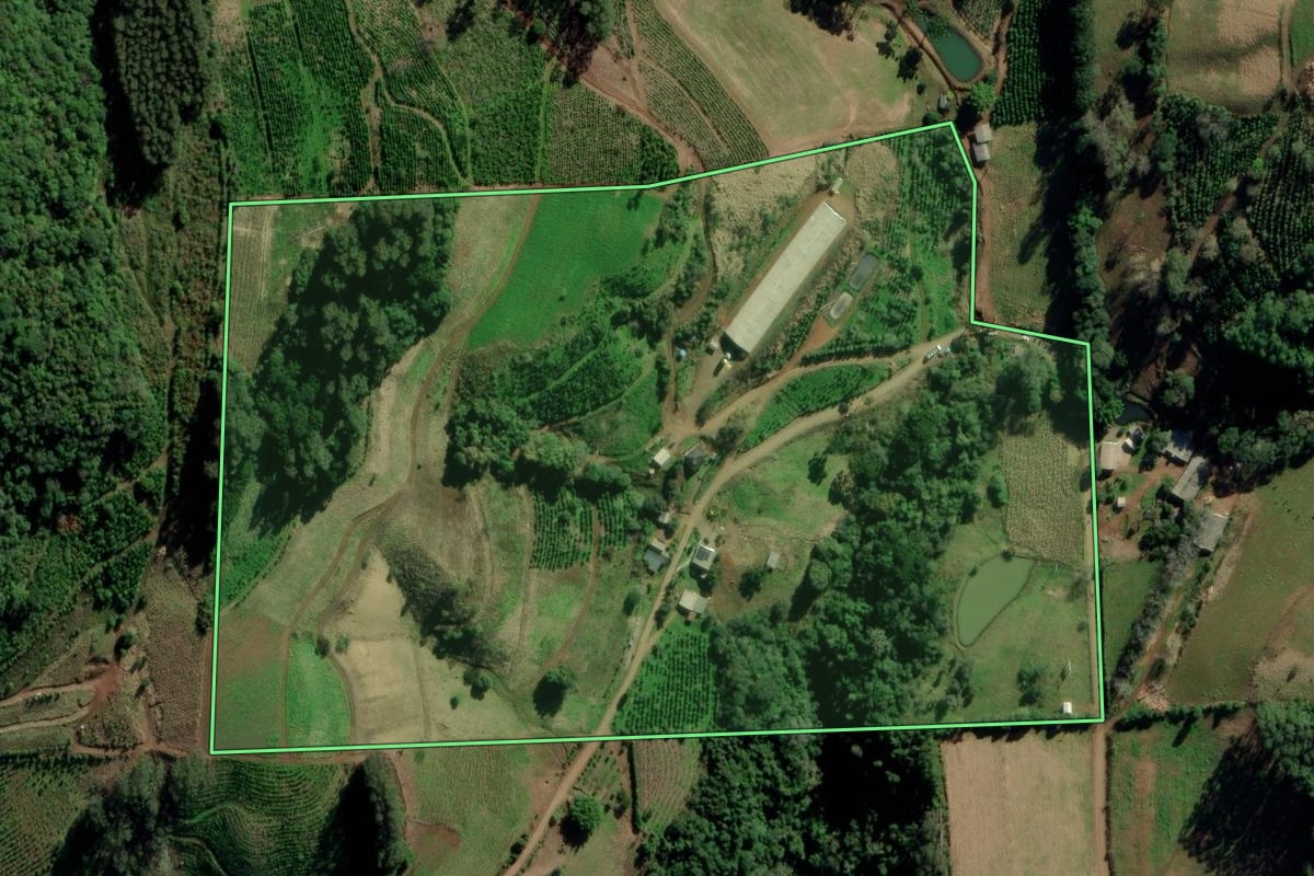 Imagem de satélite do imóvel rural em Putinga (RS), com o contorno declarado no CAR desenhado por cima.