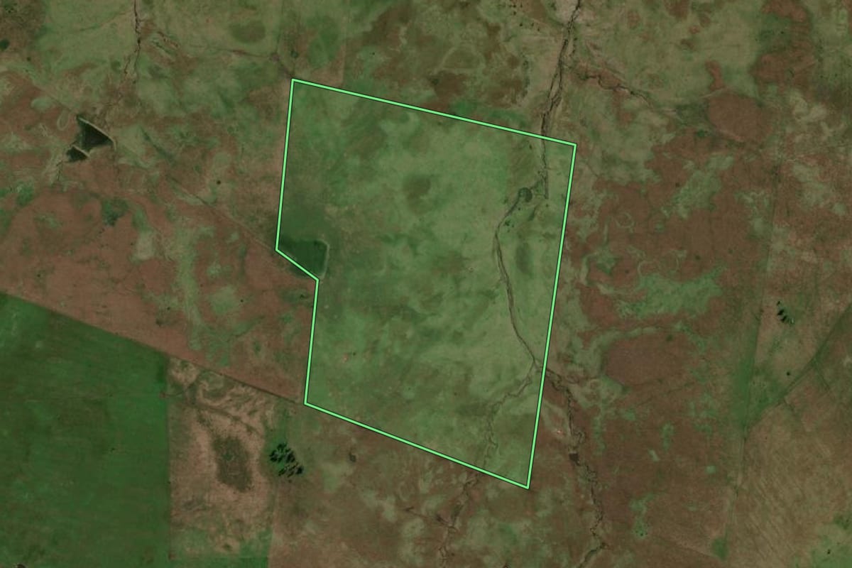Imagem de satélite do imóvel rural em Quaraí (RS), com o contorno declarado no CAR desenhado por cima.