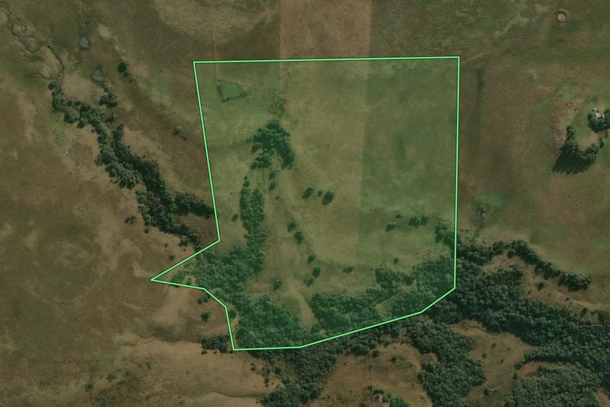 Imagem de satélite do imóvel rural em Quaraí (RS), com o contorno declarado no CAR desenhado por cima.