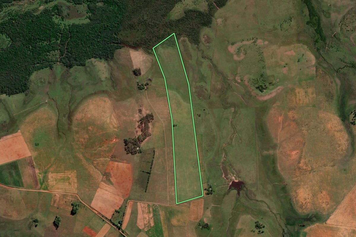 Imagem de satélite do imóvel rural em Quaraí (RS), com o contorno declarado no CAR desenhado por cima.