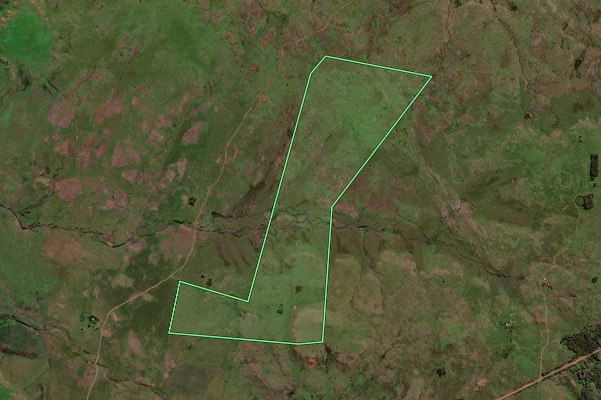 Imagem de satélite do imóvel rural em Quaraí (RS), com o contorno declarado no CAR desenhado por cima.