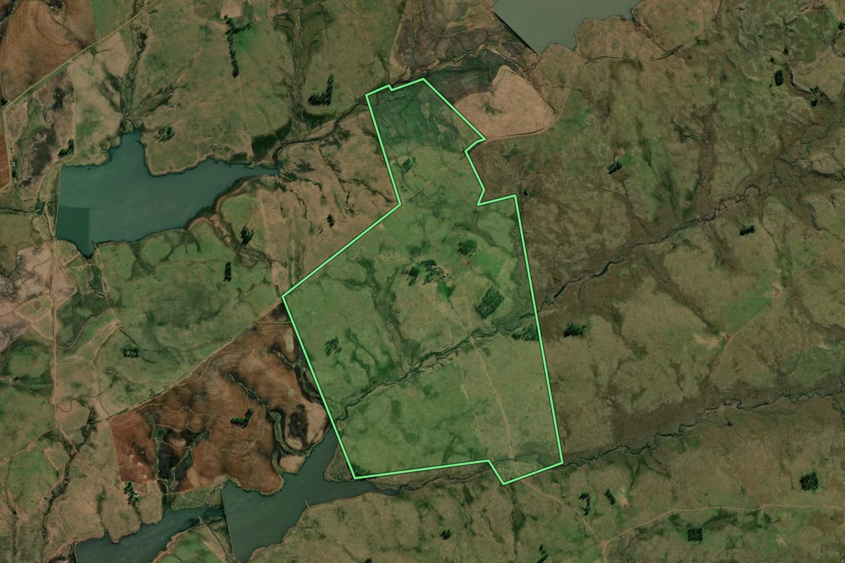 Imagem de satélite do imóvel rural em Quaraí (RS), com o contorno declarado no CAR desenhado por cima.