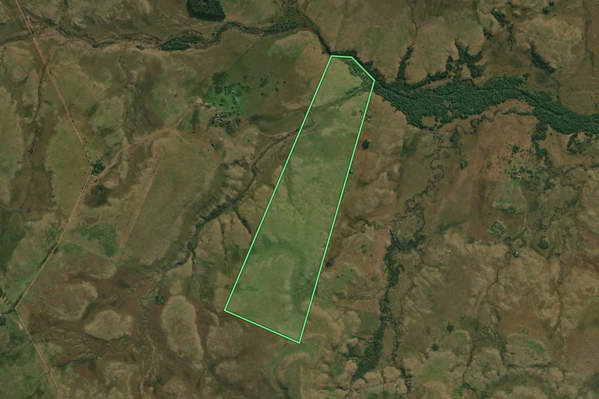 Imagem de satélite do imóvel rural em Quaraí (RS), com o contorno declarado no CAR desenhado por cima.