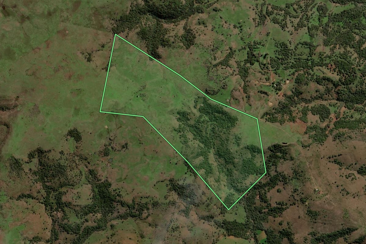 Imagem de satélite do imóvel rural em Quaraí (RS), com o contorno declarado no CAR desenhado por cima.